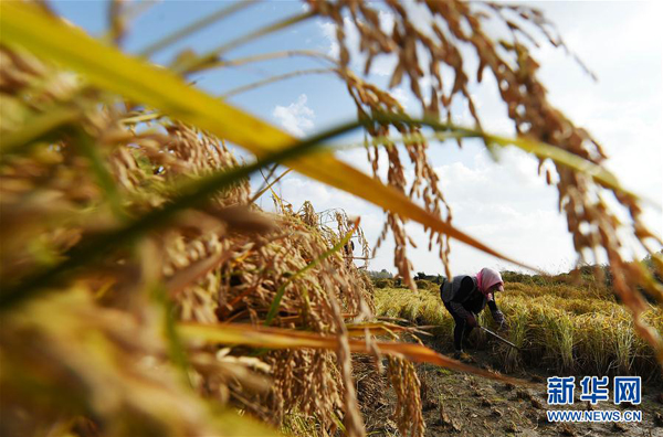 ںʡ峣ﵾлˮأˮֲոˮ925㣩