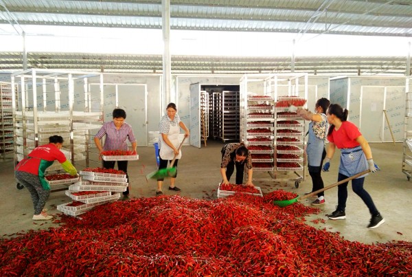 ʯ䣺6000Ķϲ Ⱥƶ¸