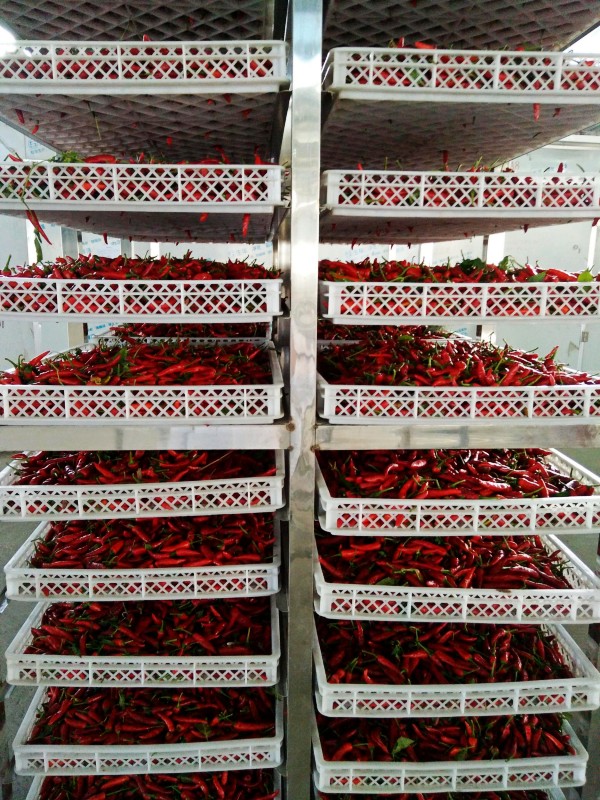 ʯ䣺6000Ķϲ Ⱥƶ¸