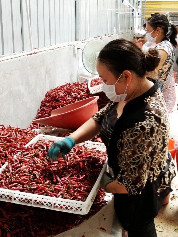 ʯ䣺6000Ķϲ Ⱥƶ¸