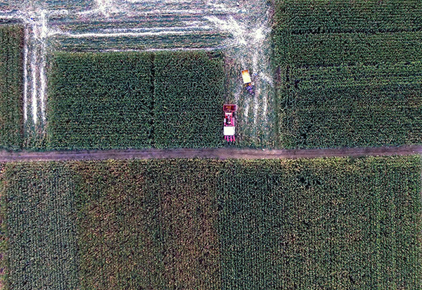 929գոںӱʡγϴũҵ