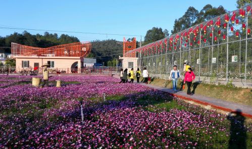 独具特色的“阿鲤廊”景区带给游客别样的体验。