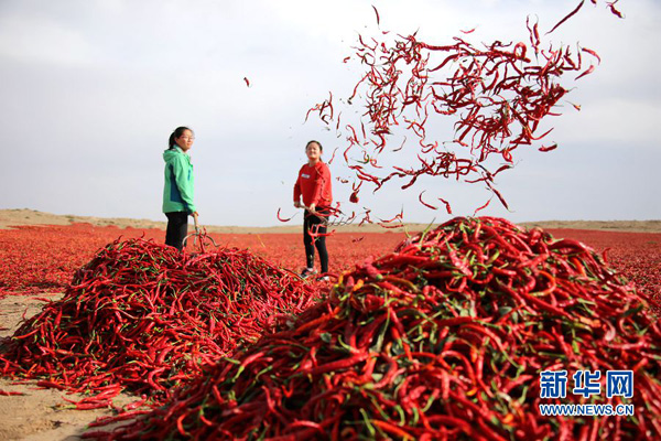 928գҴи̨غȪʮӴũɹ