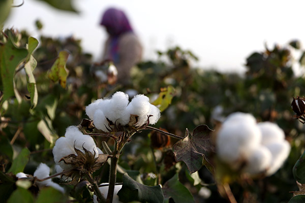 927գʡػйұǰũвժ޻