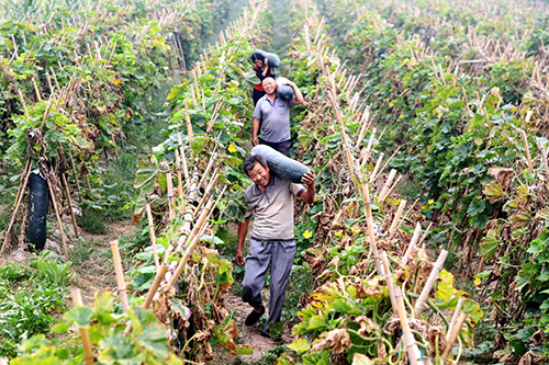 105գ¡ҢǧӪżׯũڵֲذ˵ϡ