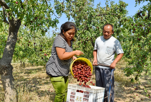 105գ̨ºׯһũڹ԰ջ档