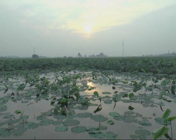 㶫ʡƽǮֲĶɫũҵ¸·