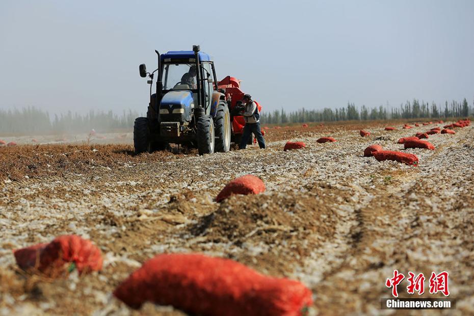 108գ½ز˹ں˴ũũȺæŲֲĻ