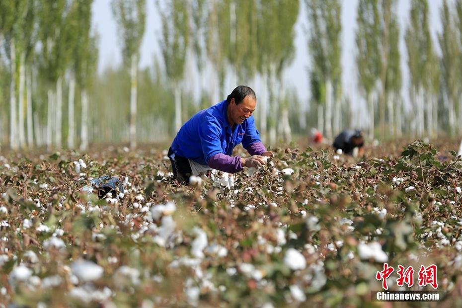 108գ½ز˹ں˴ԺϵʰæµŲժ޻