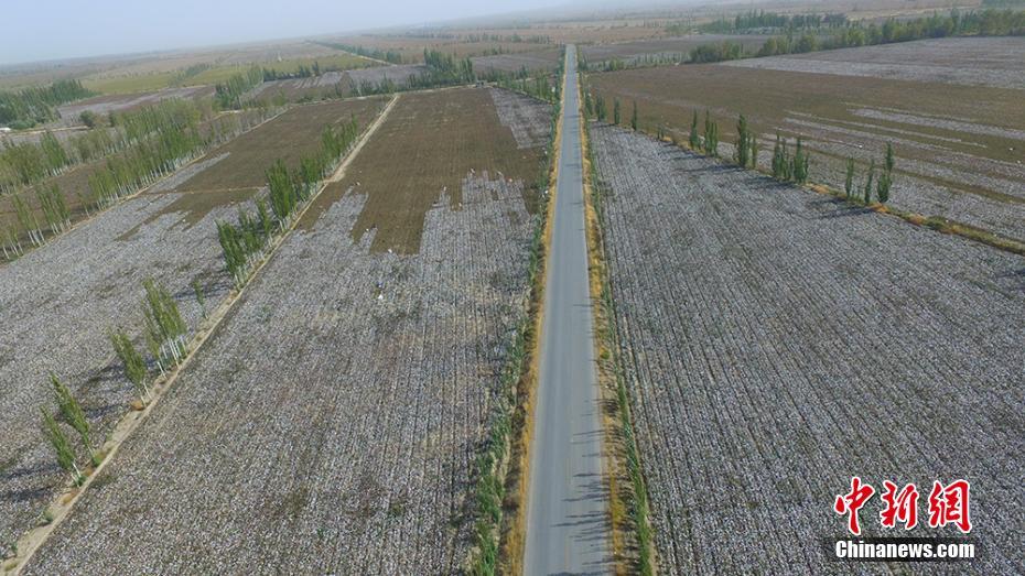 108պ½ز˹ں˴Ķɫ