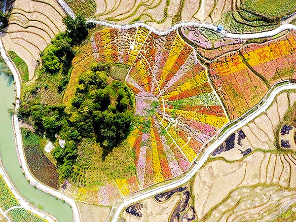 ʱڣӳϵذƽؽƣɫʻ׺䣬ʤա