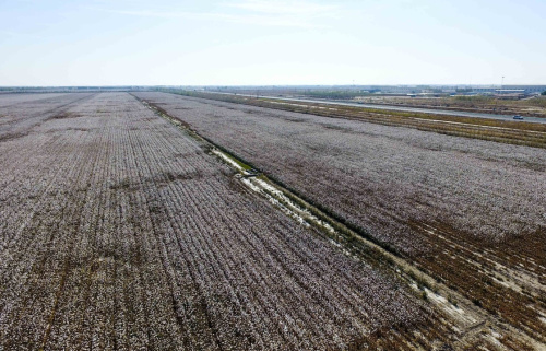 ле޵½ʯһ108㣩