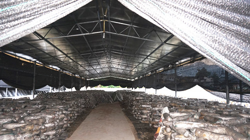 ˮأִɫũҵʾ Բҵƶ