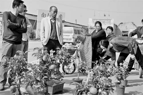 ɽܹũҵΪԭƽũ¸;