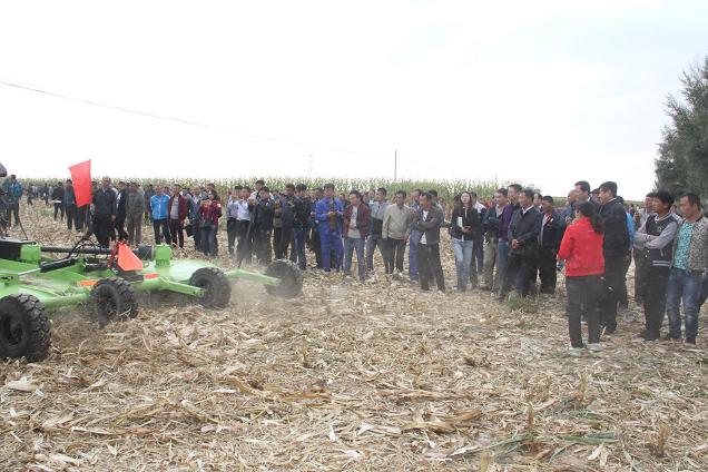 ũΪɹŰͷƽոתֳό