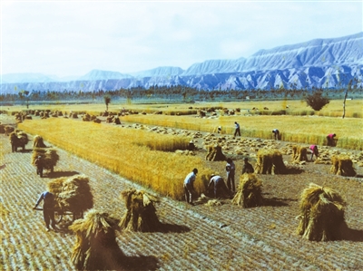 ͼΪ20167£ιϿũջʳ