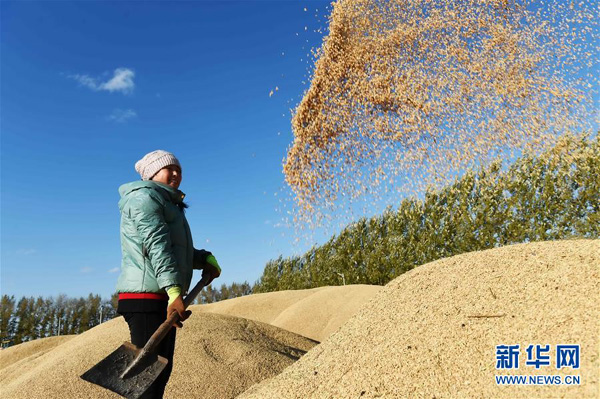 1010գʡũˮֲɹɹջˮ