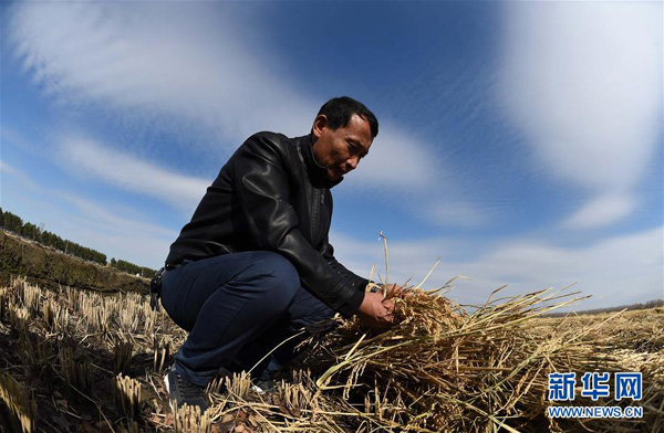 1010գʡũ߹ڲ鿴ˮɹˮ