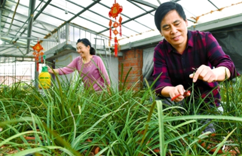 ����¬�ϣ�������Ч���