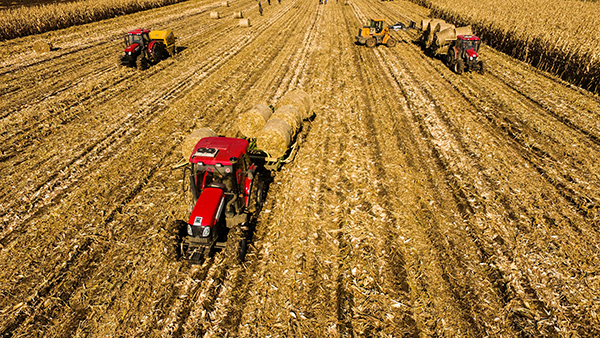 1010գʡ˫˽ֲֵнոմҵ