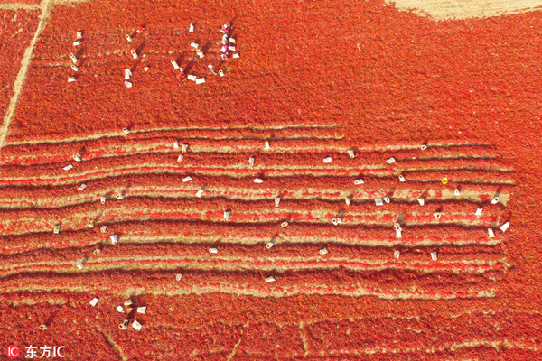 20161010գ½ٸɭٸɭɹ