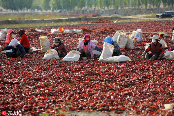 20161010գ½ٸɭٸɭɹ