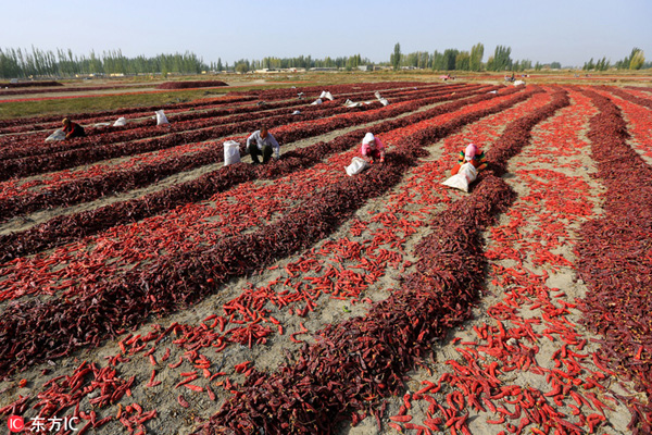 20161010գ½ٸɭٸɭɹϣũڶԷյмɹּװ