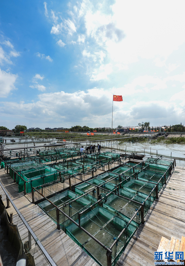 Õ㽺þÖÝ£ºÌ«ºþ¡°Ë®ÉÏÄÁ³¡¡±Ó·áÊÕ