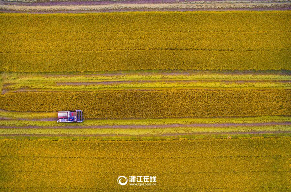 1010գغθߴɫһ޼ʣո¡¡졣