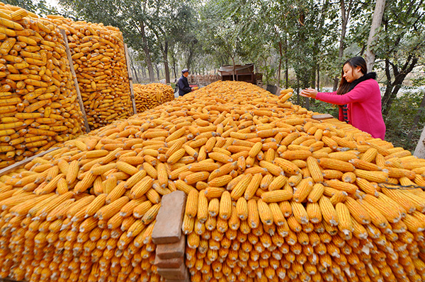 1012գӱʡͷŴׯũڲ鿴ſڰڷŵס