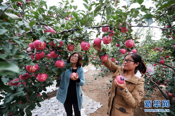 1012գŮھƻ԰ժֵƻ