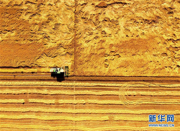 �½�����ľ����ˮ��ϲ�����