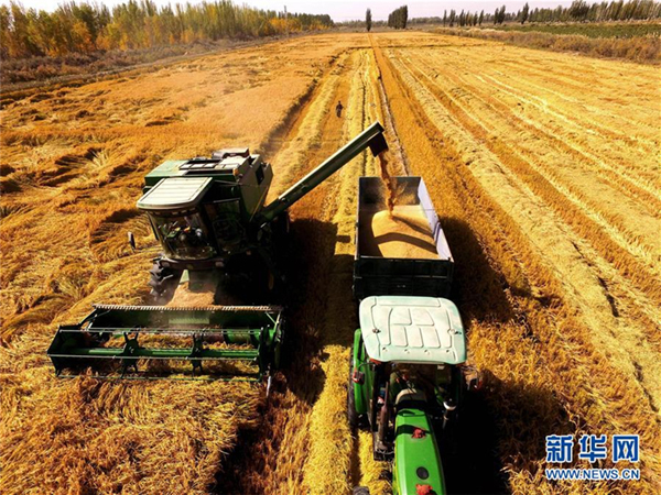 10��11�գ��½�����������ŵ�һʦְ�����ո�ˮ����