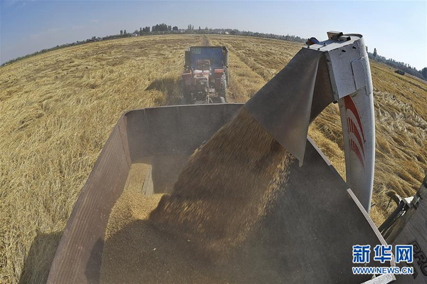 1010գոкͥũˮոˮ