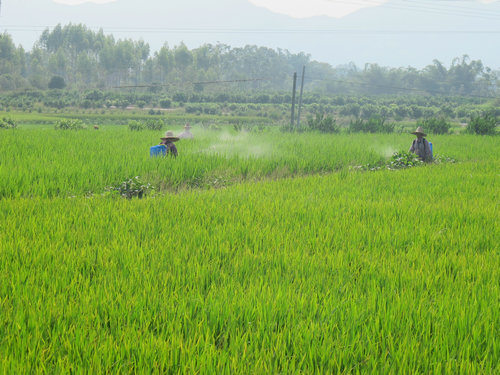 �����鴨��̶������������ʾ���㲹������ʱ