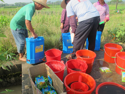 �����鴨��̶������������ʾ���㲹������ʱ