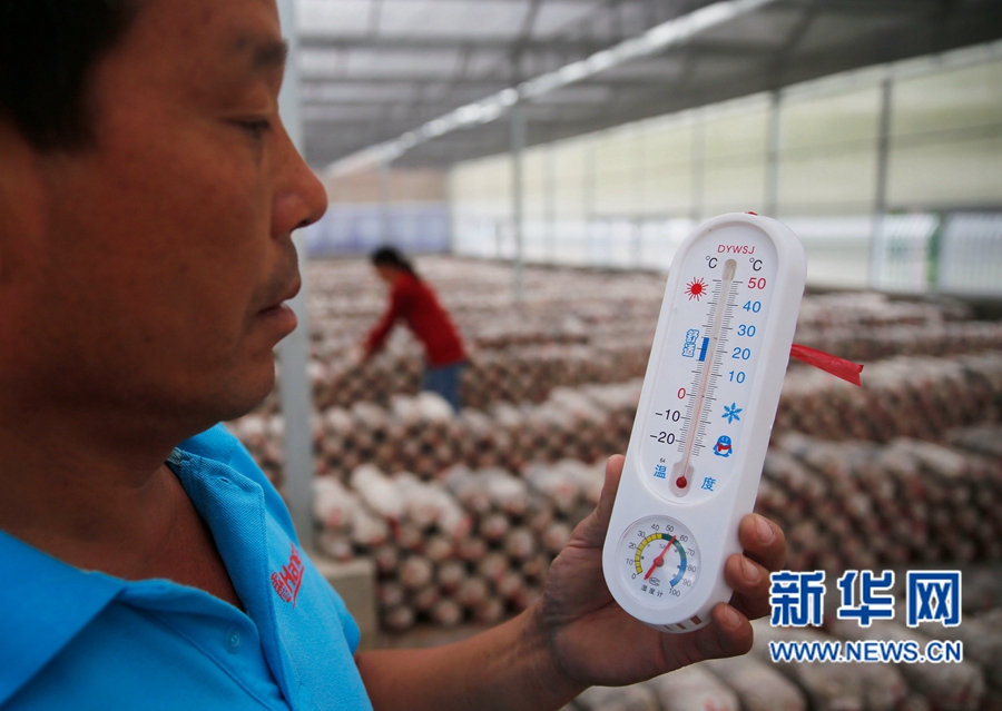 1011գũʳþڲ鿴¶ȼơ