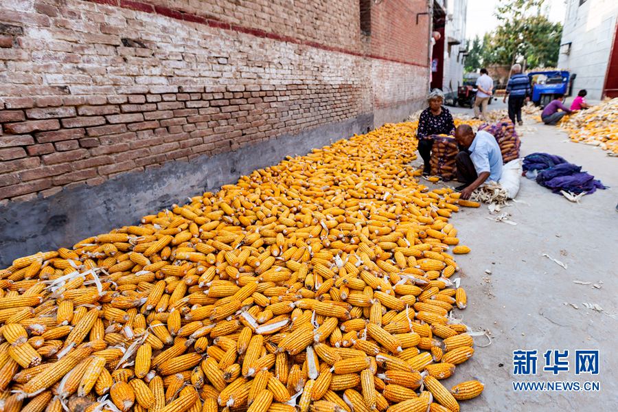 ϻأ׷ռ۸ ũϧ۶ڻæ