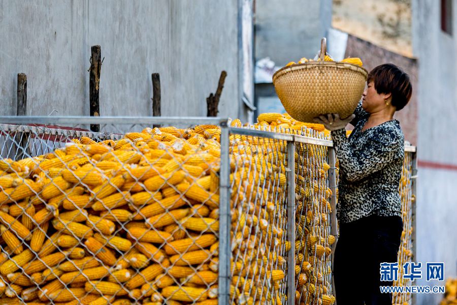 ϻأ׷ռ۸ ũϧ۶ڻæ