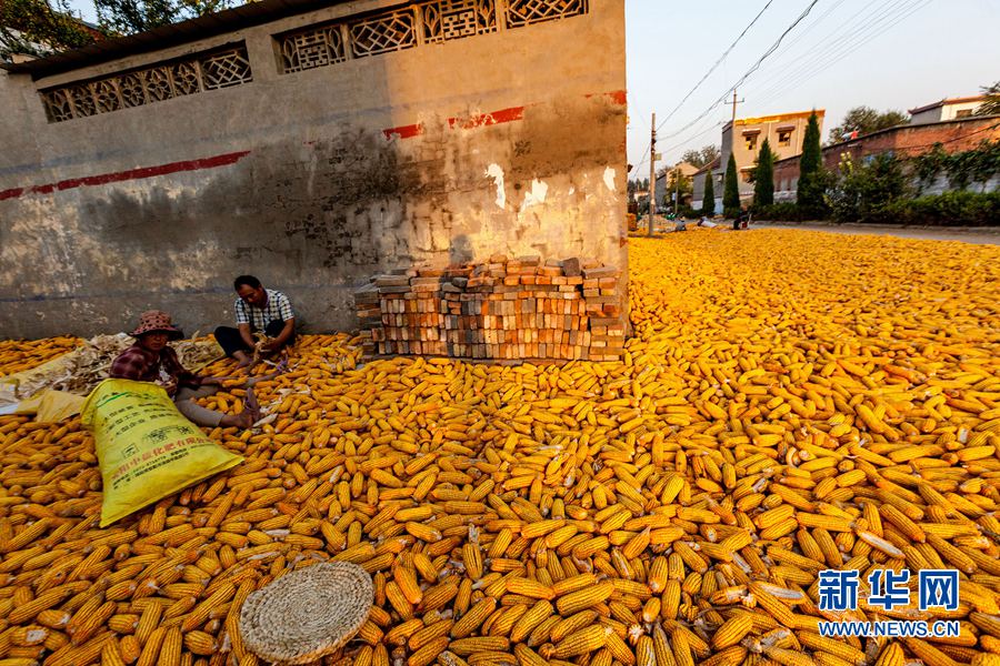 2016922գʡׯũջ׶ڴպüǮ