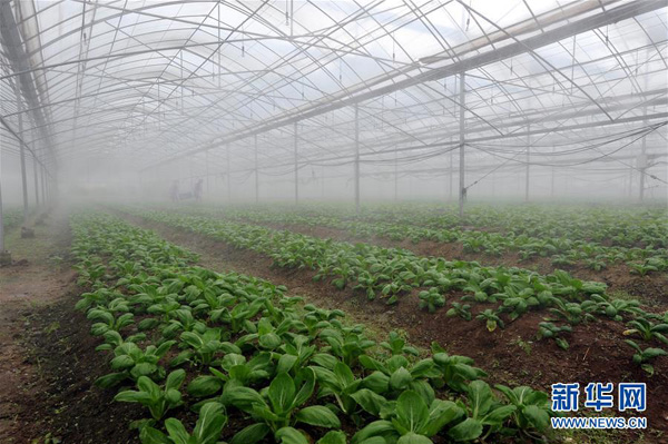 1014գ㽭ʡسֲ߲ʹԶ߲ˡ