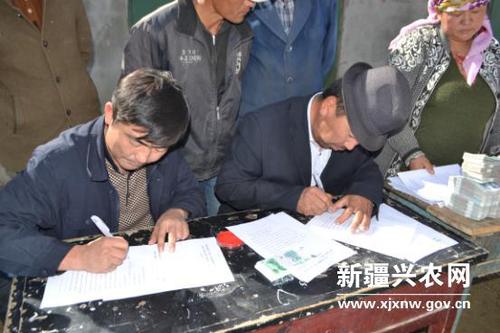 新疆阿合奇县养殖专业合作社助力脱贫攻坚