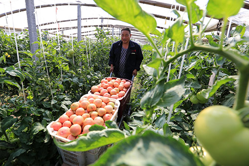 ӱʡºطƶ彨ִũҵҵ԰