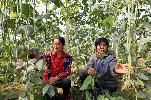 1014գӱʡºغɳݴĲũִũҵҵ԰ڴֲĶǡ