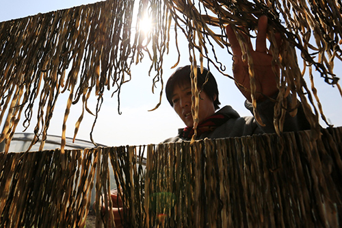 1014գӱʡºغɳݴĲũִũҵҵ԰ɹĸɶǡ