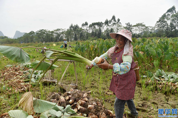 1014գˮؽ𼦴һ帾Ů