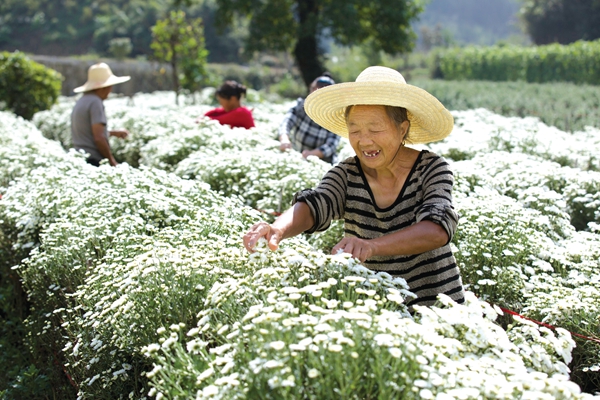 գɽʿɽҰϲӭ ʻݹĶԪ