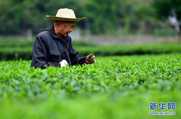 1017գһũںʡˮӴժ衣