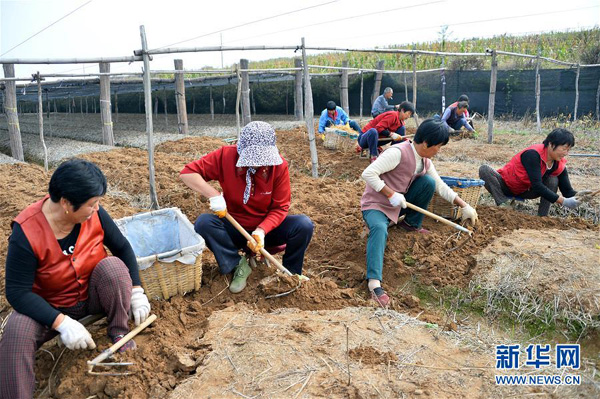 1015գĵżҲ޴ջ²Ρ