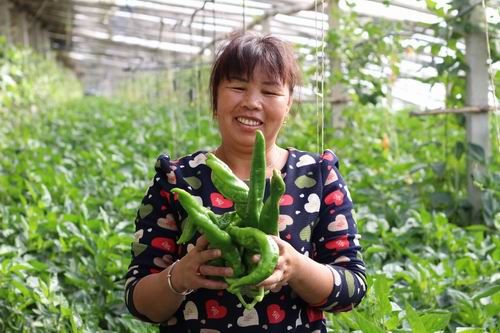 ½ŵڶʦʮŴﷴְֲ߲ա۱衱